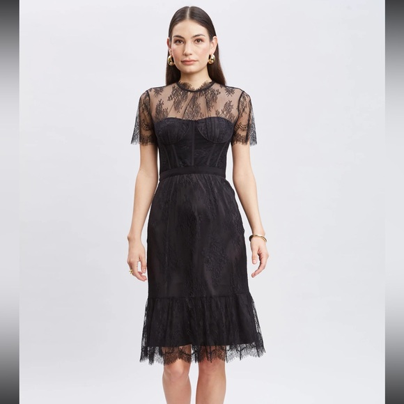 ELIE TAHARI NWT ROMANTIC BLACK LACE CORSET DRESS FULLY LINED, BACK ZIPPER ELIE TAHARI NWT ROMANTIC BLACK LACE CORSET DRESS FULLY LINED, BACK ZIPPER